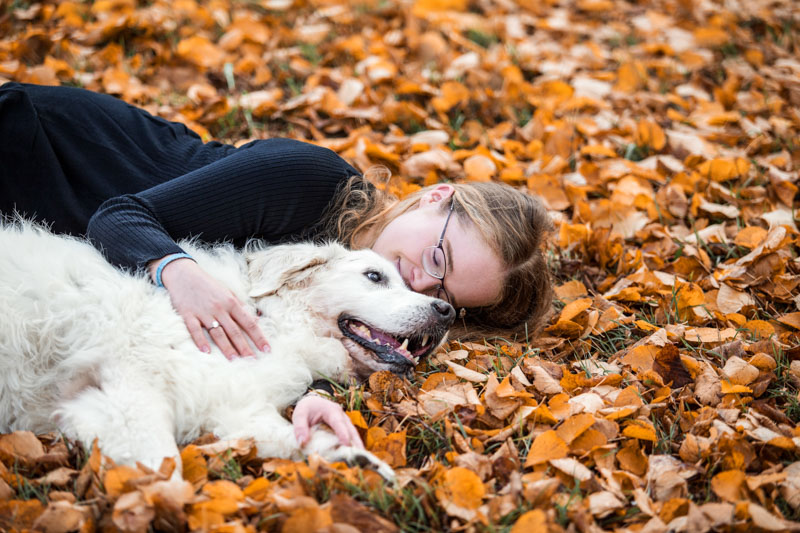 Golden Retriever kuschelt mit Besitzerin liegend im Herbstlaub