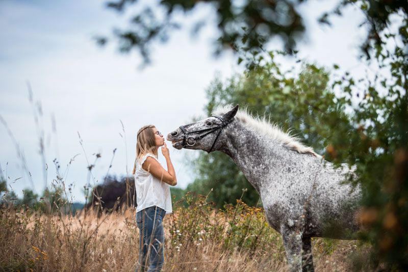 Pferd gibt der Besitzerin ein Küsschen