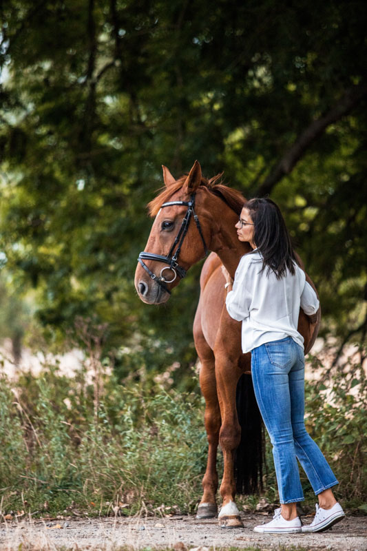 Braunes Großpferd mit der Besitzerin in der Natur