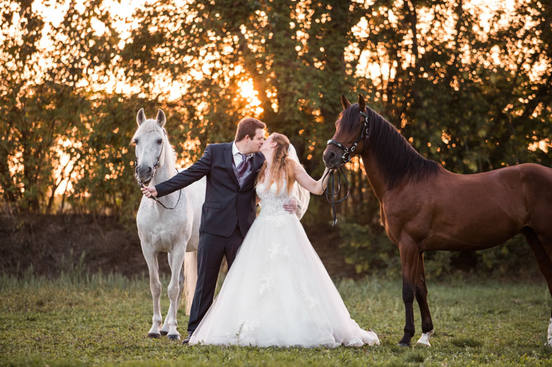 Hochzeitspaar mit ihren Pferden küsst sich im Sonnenuntergang